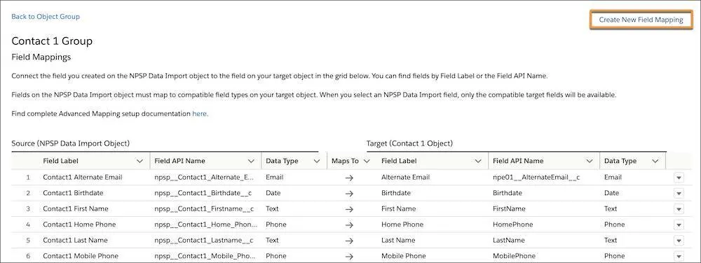 Le groupe Contact 1 avec le bouton Create New Field Mapping (Créer un mappage de champs personnalisé)