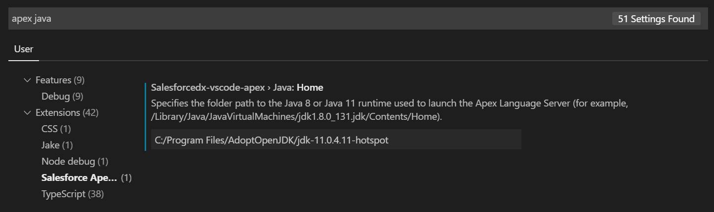 Entering Java Home Setting