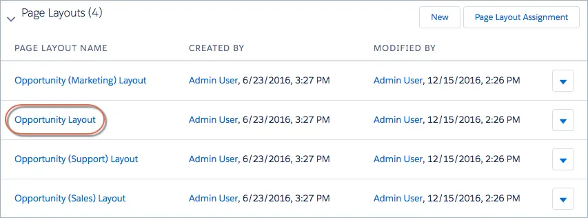 A view of the Opportunity Page Layouts related list with the Opportunity Layout highlighted.