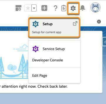 Accédez à la page Setup (Configuration) dans Salesforce.