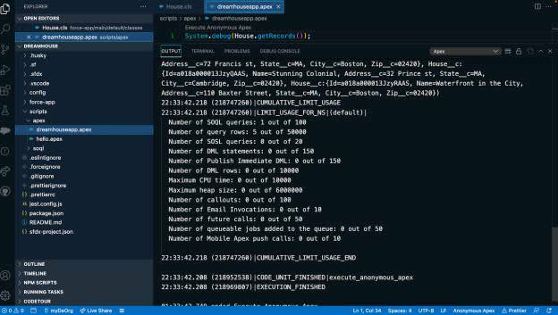 Output Panel displaying query results upon apex script execution.