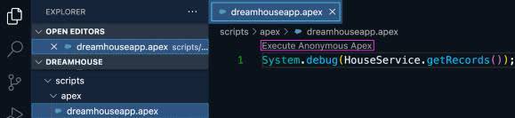 Code Lens Execute Anonymous Apex (Ejecutar Apex anónimo) para ejecutar un script de Apex.