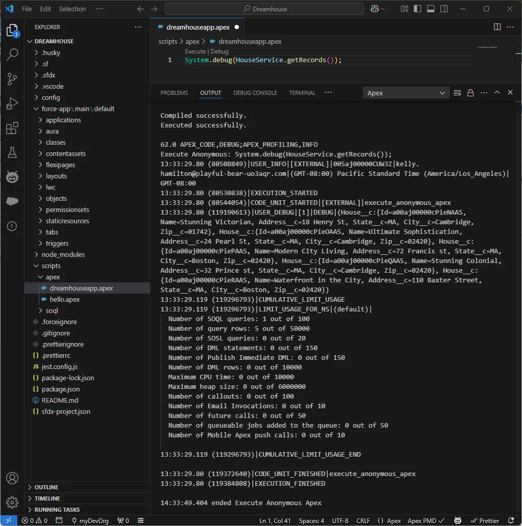 Painel de saída exibindo os resultados da consulta na execução do script do Apex.