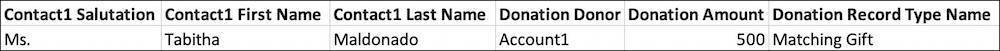 Spreadsheet listing a Donation Record Type Name of “Matching Gift”