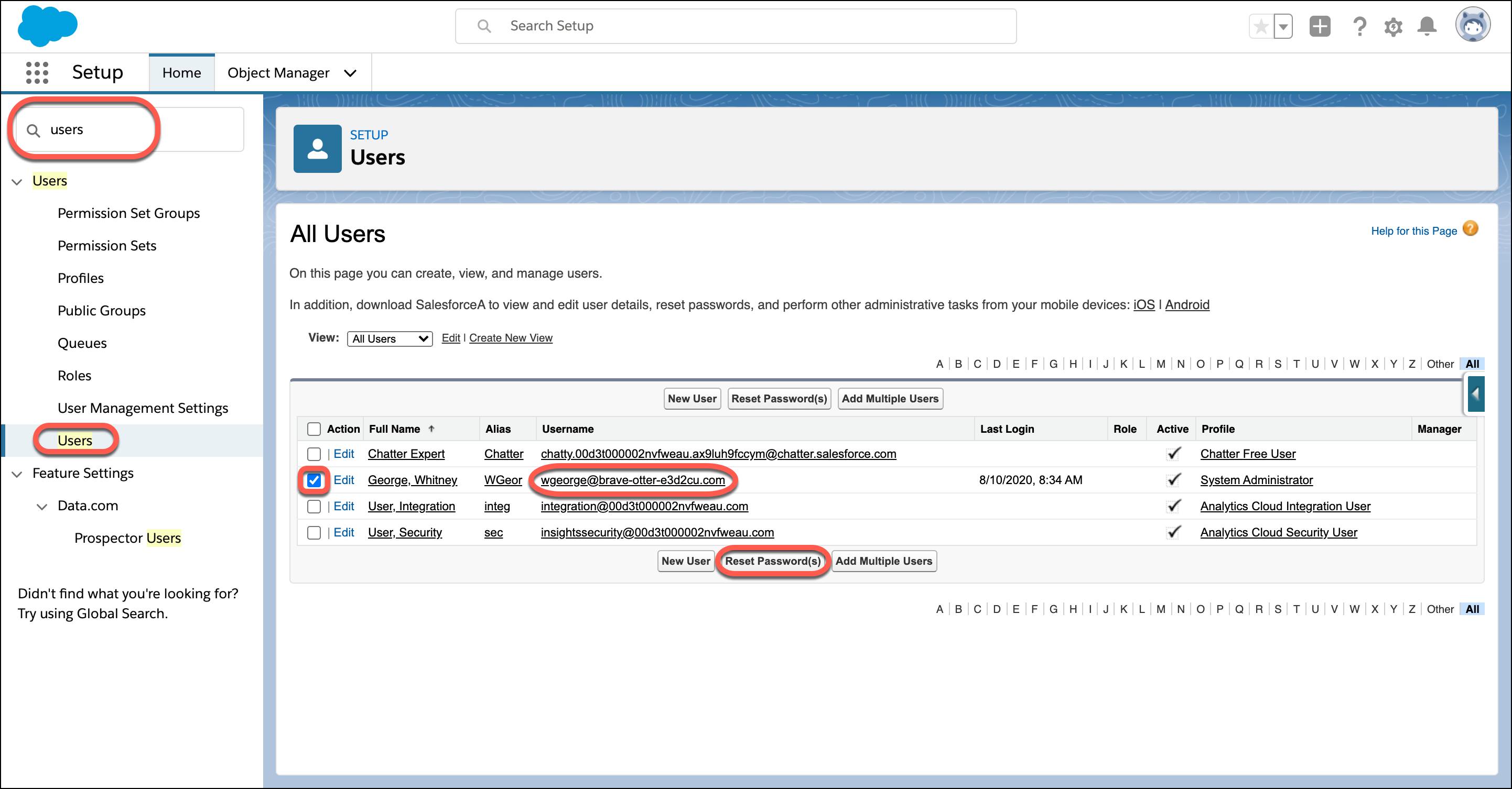 Manage Users page in Salesforce Setup