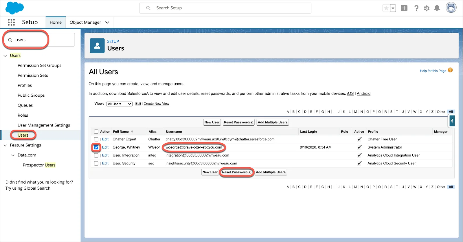 Manage Users page in Salesforce Setup