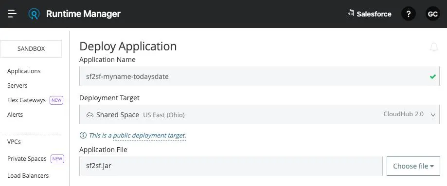 Deploy Application options in Runtime Manager including Application Name, Deployment Target, and Application File.