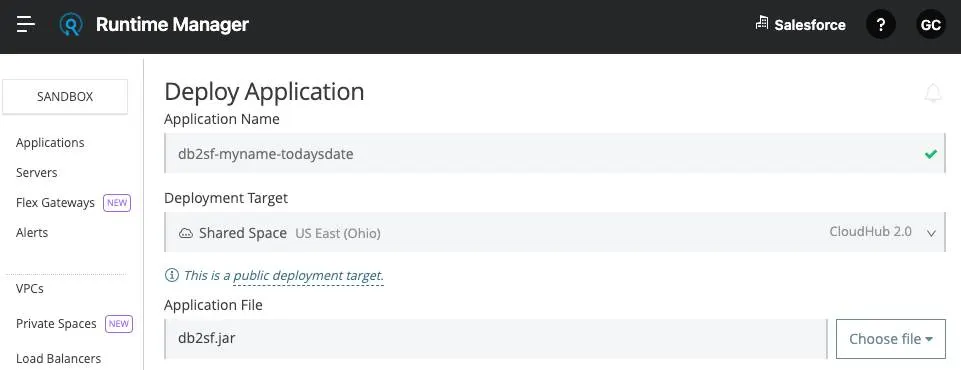 Deploy Application options in Runtime Manager including Application Name, Deployment Target, and Application File.