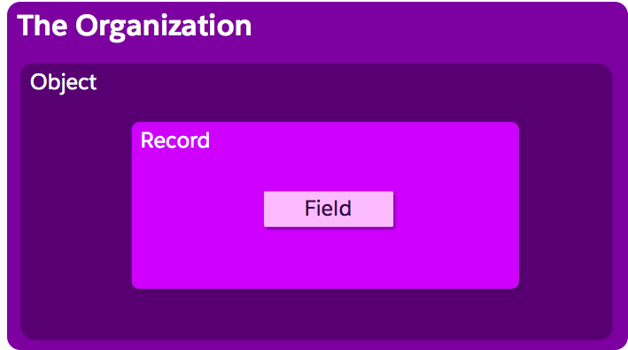 Organizational setup image, showing the Field nested inside the Record, which is nested inside the Object.