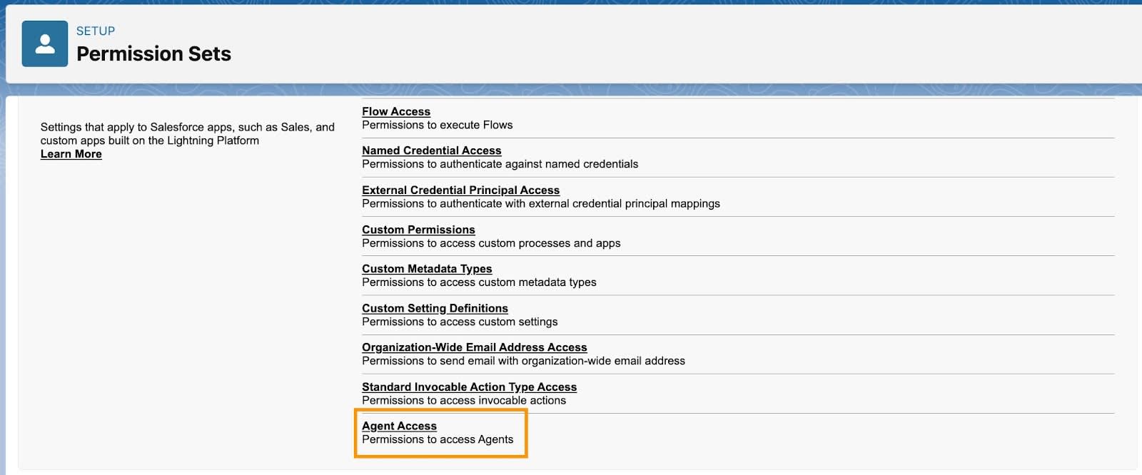 Pagina di impostazione Permission Sets (Insiemi di autorizzazioni) in cui è evidenziato Agent Access (Accesso agli agenti).