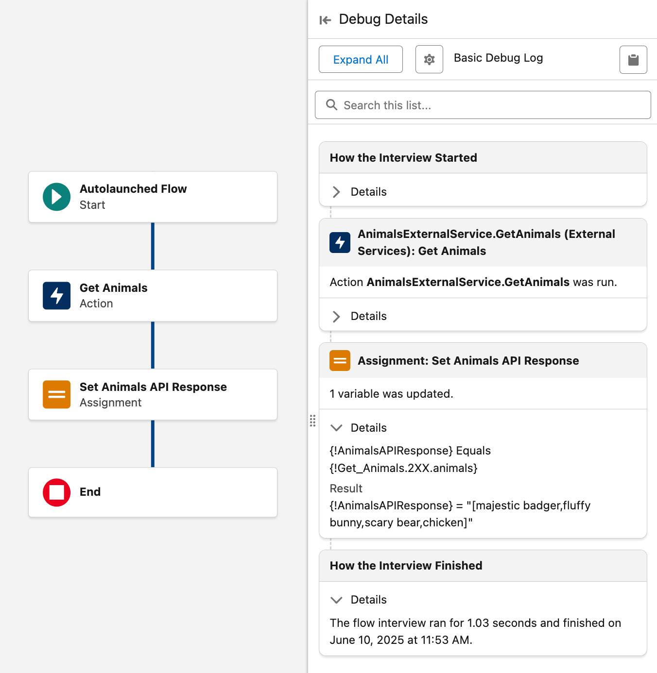割り当ての結果 (動物のリスト) が表示されている [Debug Details (デバッグの詳細)] ペイン。