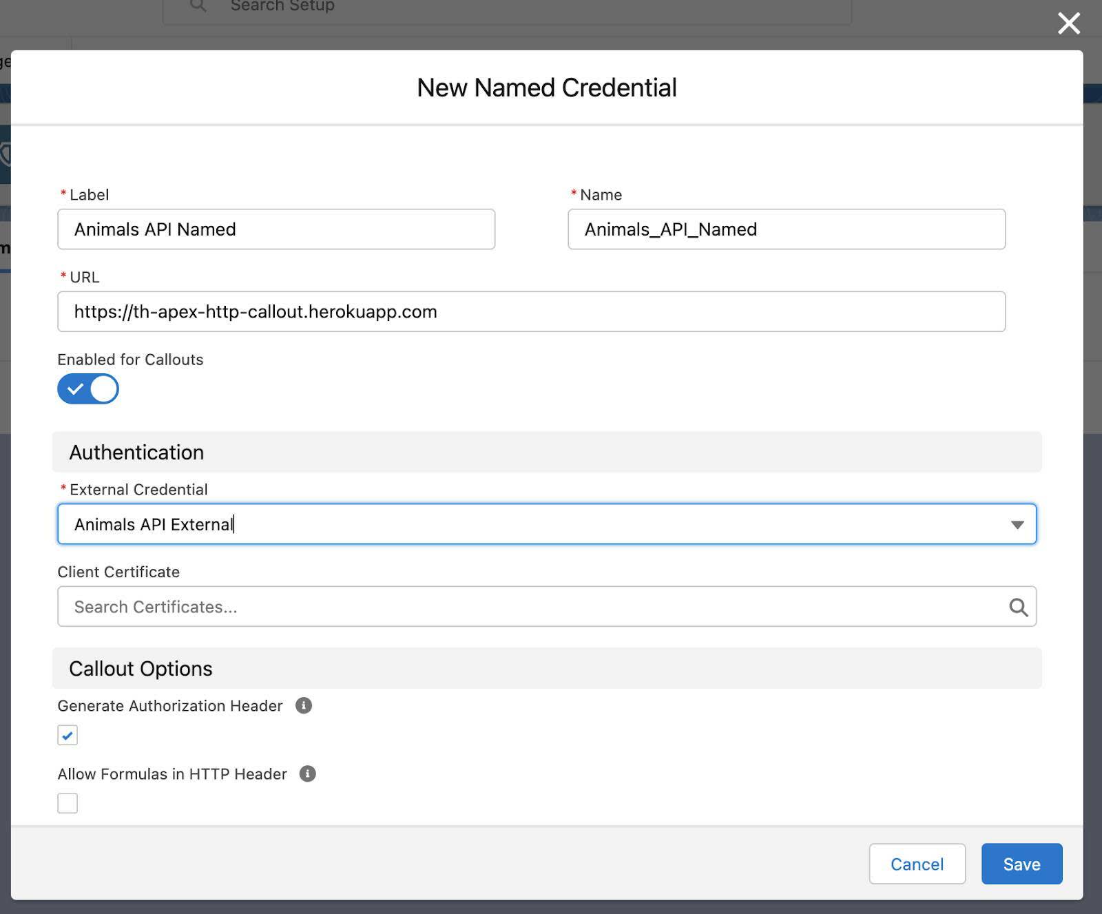 New Named Credential window with Label, Name, Url, and External Credential fields set as described in the preceding steps 3–6.