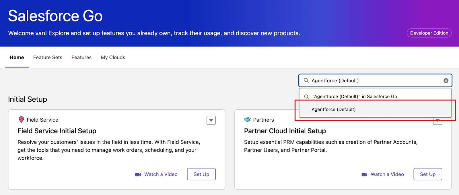 已选择 Agentforce(默认)。