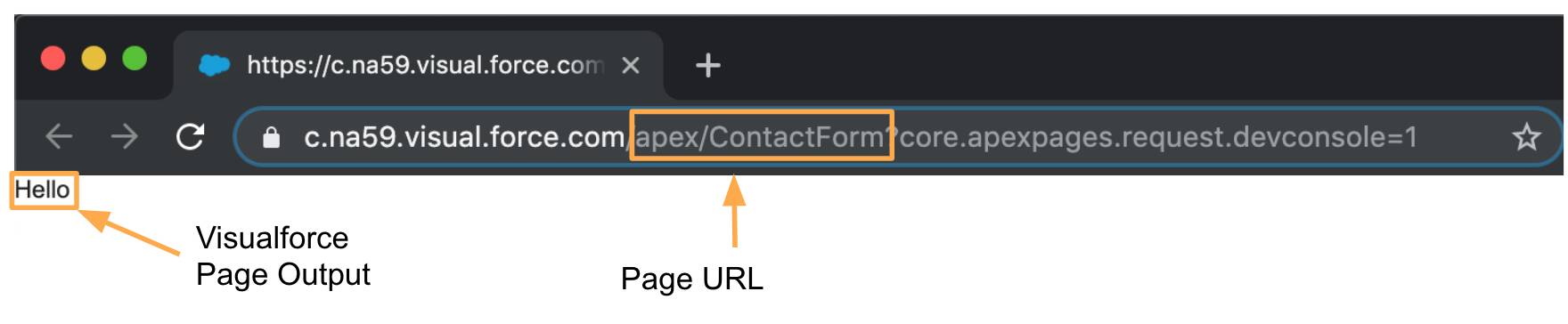 在浏览器中显示的 ContactForm。