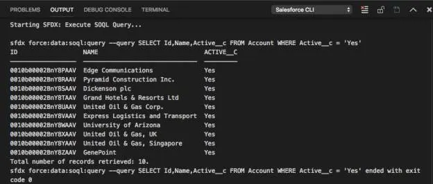 Trailhead Playground から受信した 10 レコードが表示されている [Output (出力)] タブ。