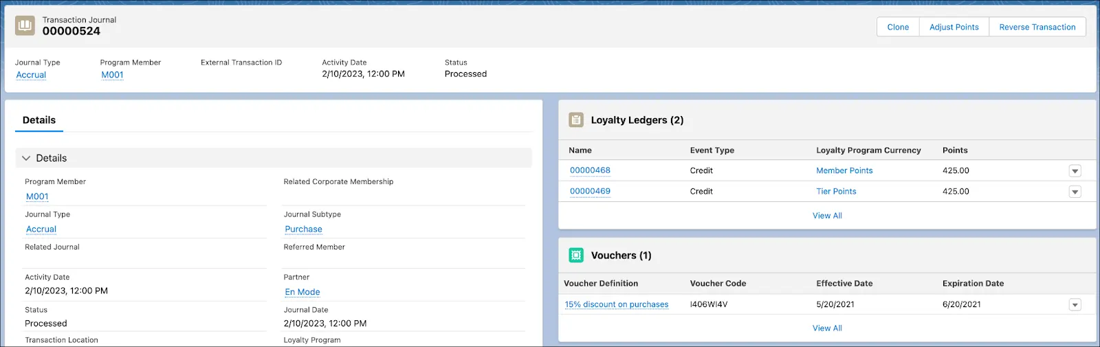 The Transaction Journal record page window where you can review the ledger entries and issued vouchers.