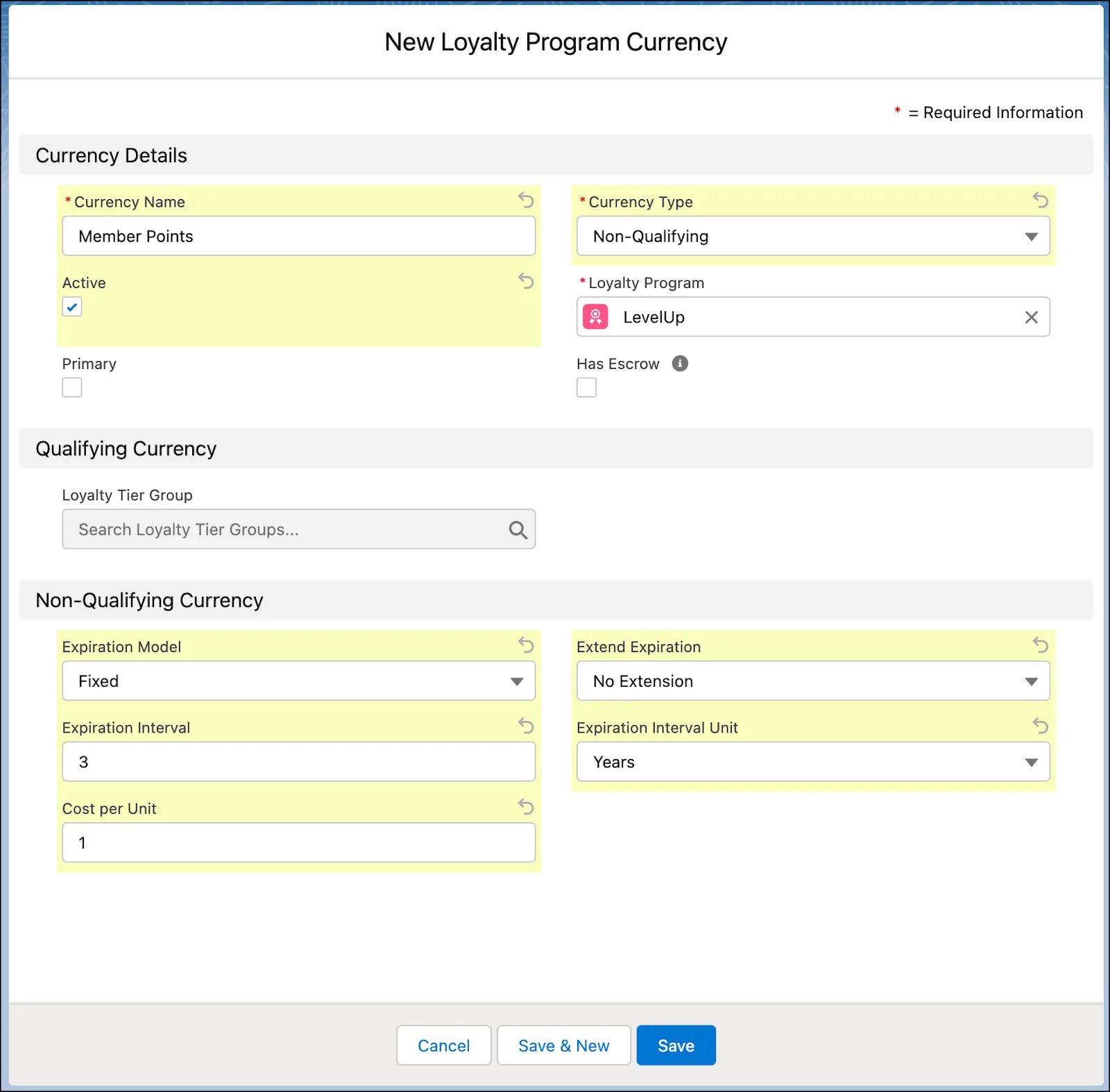 The New Loyalty Program Currency window with details of currency type Member Points.