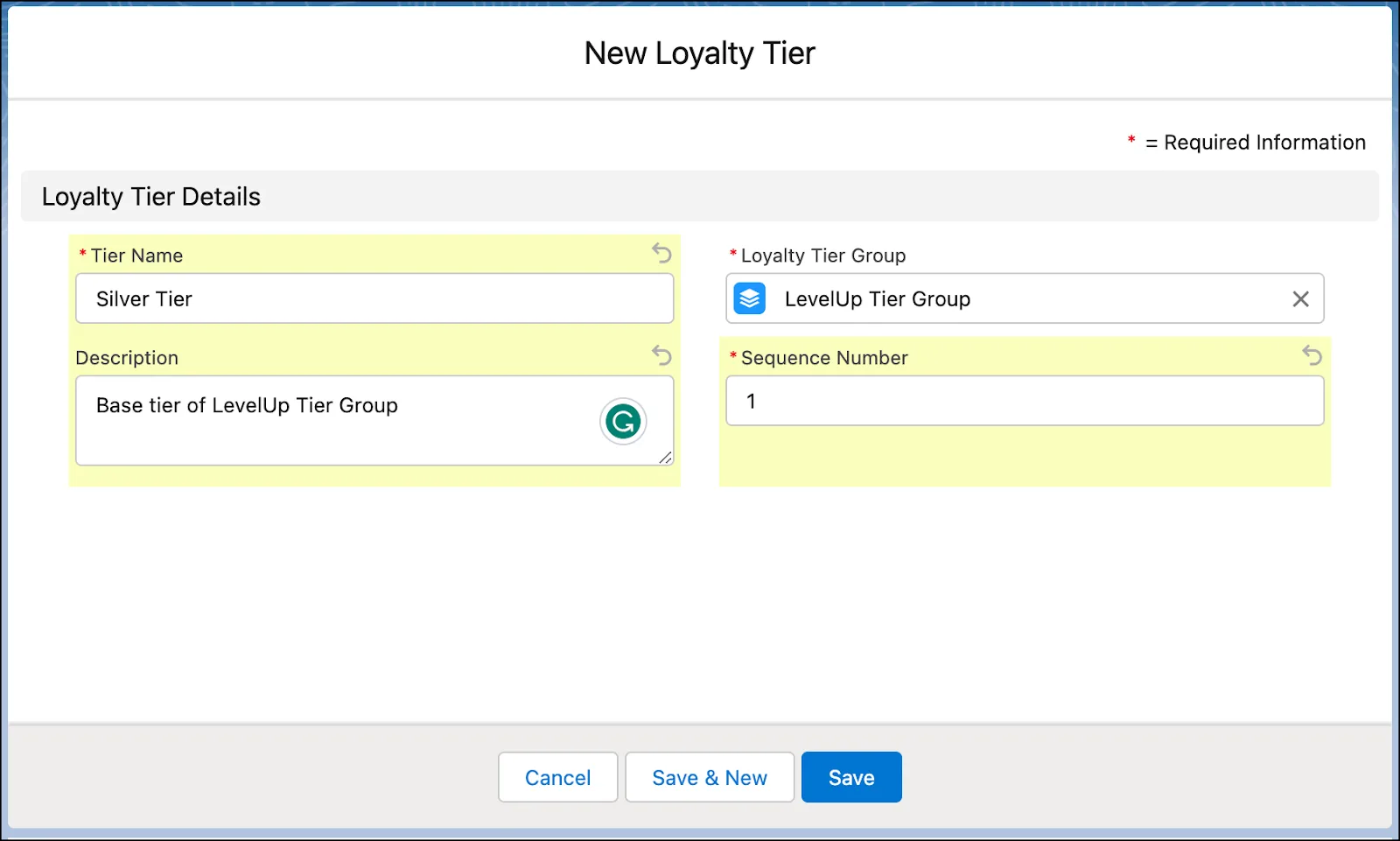 The New Loyalty Tier window where you enter tier details.