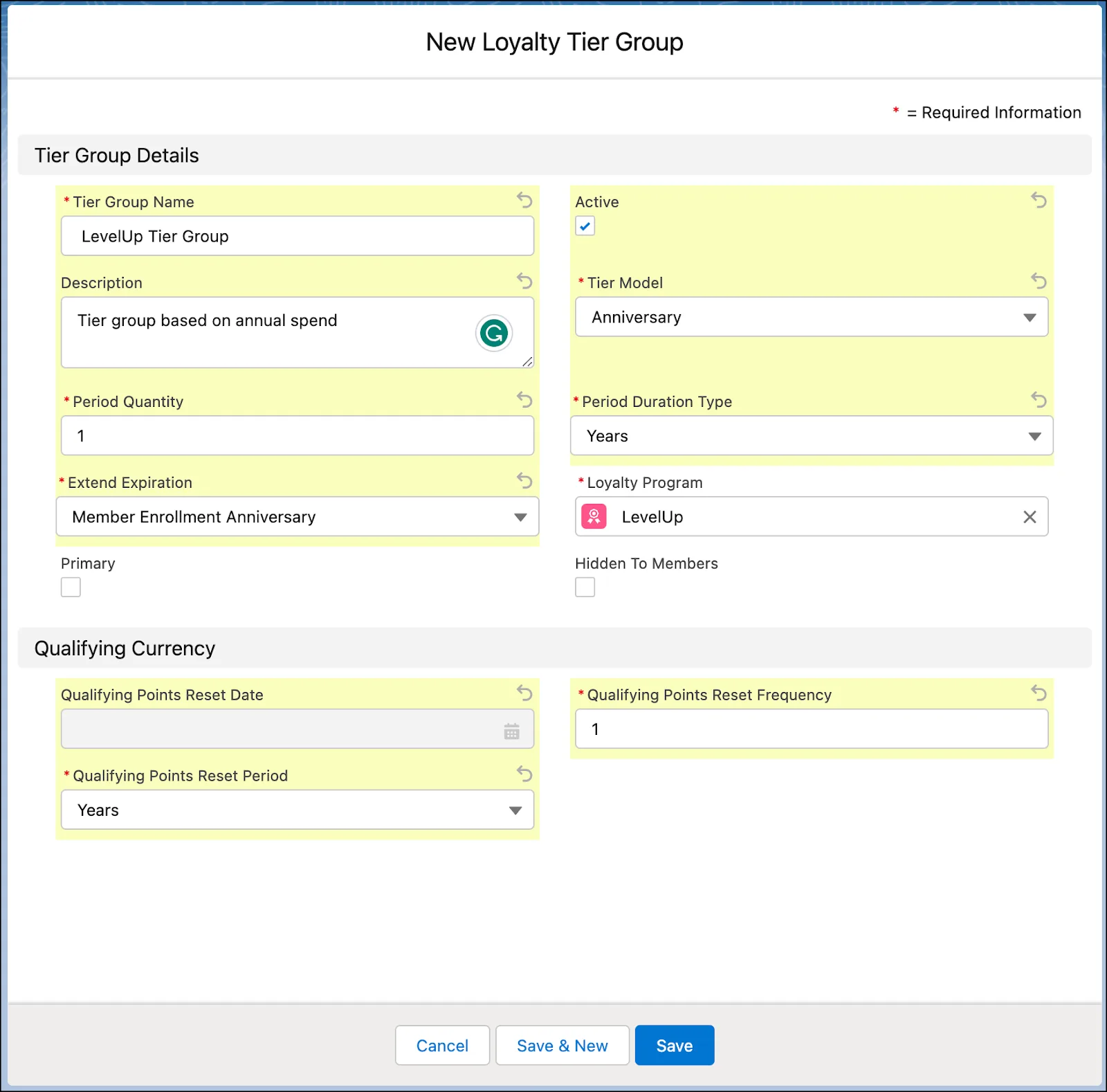 The New Loyalty Tier Group window where you enter tier group details.