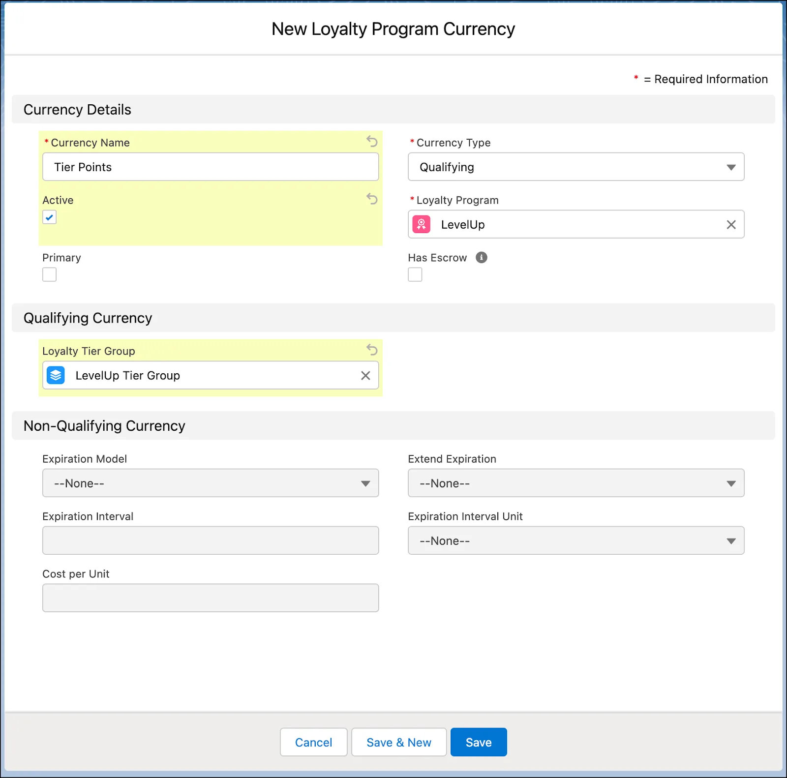 The New Loyalty Program Currency window with details of currency type Tier Points.