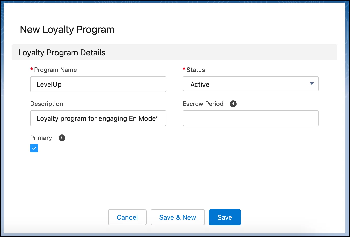 The New Loyalty Program window where you create a program.