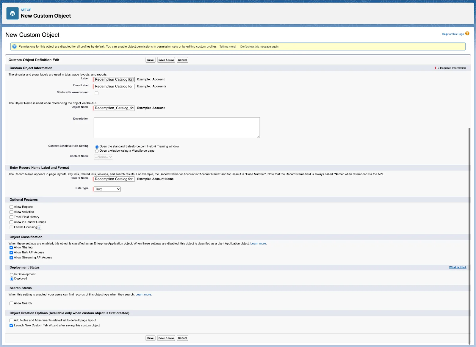 The New Custom Object page where you define the name for the custom object.