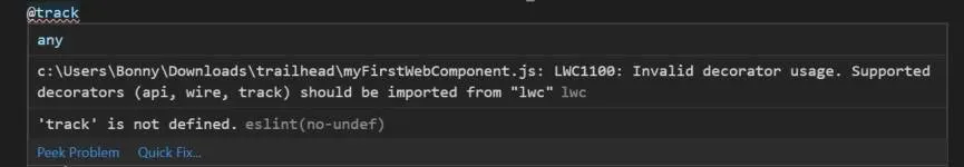 Hover window with error messages: “Decorators transform is necessary” and “‘track’ is not defined.’”