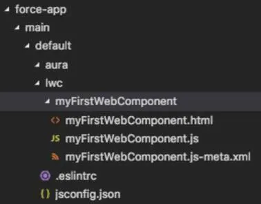 Metadata directory structure with expanded Lightning web component folder