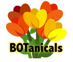 Bouquet of colorful flowers with the BOTanicals logo.