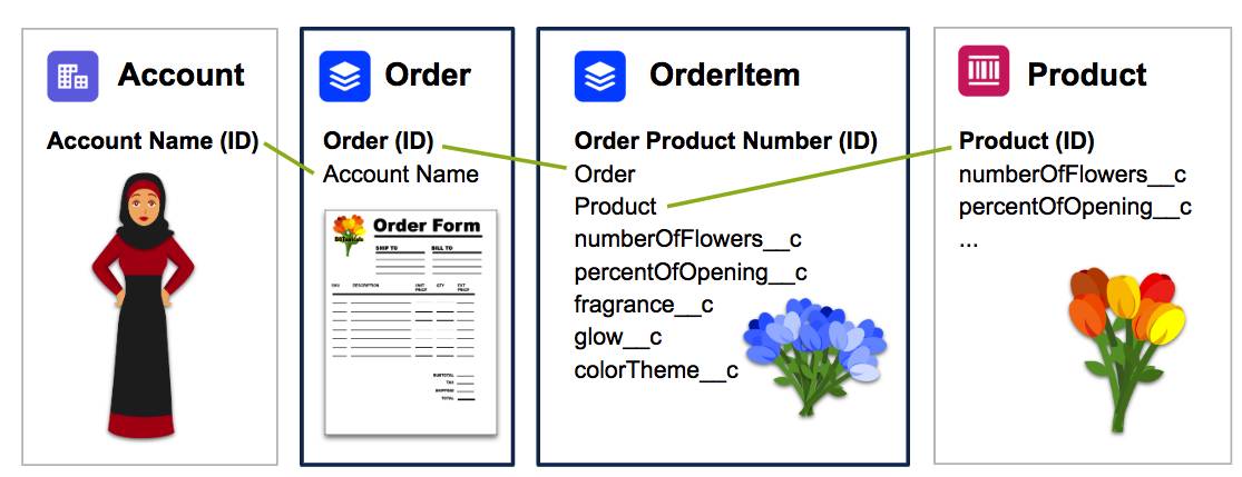 左から右にリストされたオブジェクトモデル。Account (取引先) (Account Name [ID])、Order (注文) (Order [ID]、Account Name)、OrderItem (注文品目) (Order Product Name [ID]、Order (注文)、Product (商品)、numberOfFlowers__c、percentOfOpening__c、fragrance__c、glow__c、colorTheme__c)、Product (Product[ID]、numberOfFlowers__c、percentOfOpening__c)