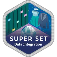 Data Integration Specialist Super Set icon