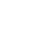 badge icon
