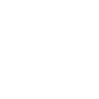 badge icon