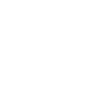 badge icon