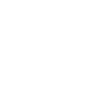badge icon
