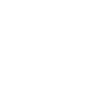 badge icon