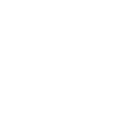 badge icon