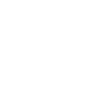 badge icon