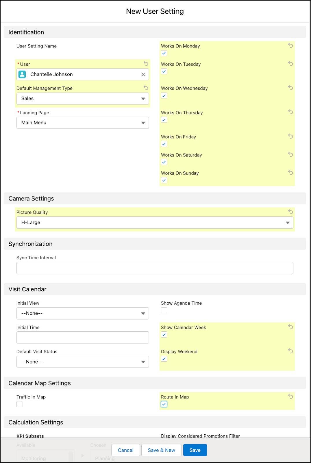 ユーザー設定レコードを作成するためのオプションが表示されている [New User Setting (新規ユーザー設定)] ウィンドウ。