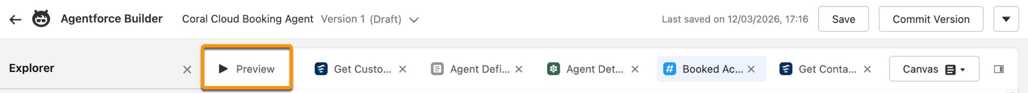 The Preview tab is the first button in the tab list.