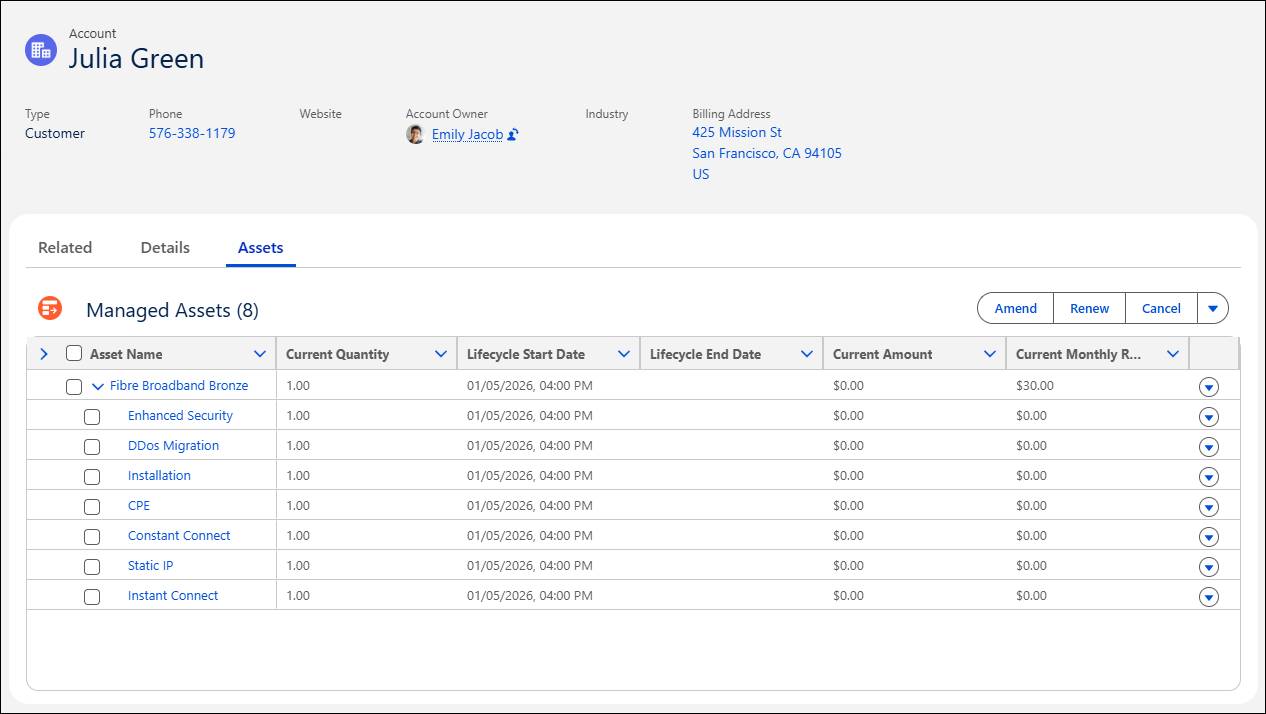 Assets tab of an account record.