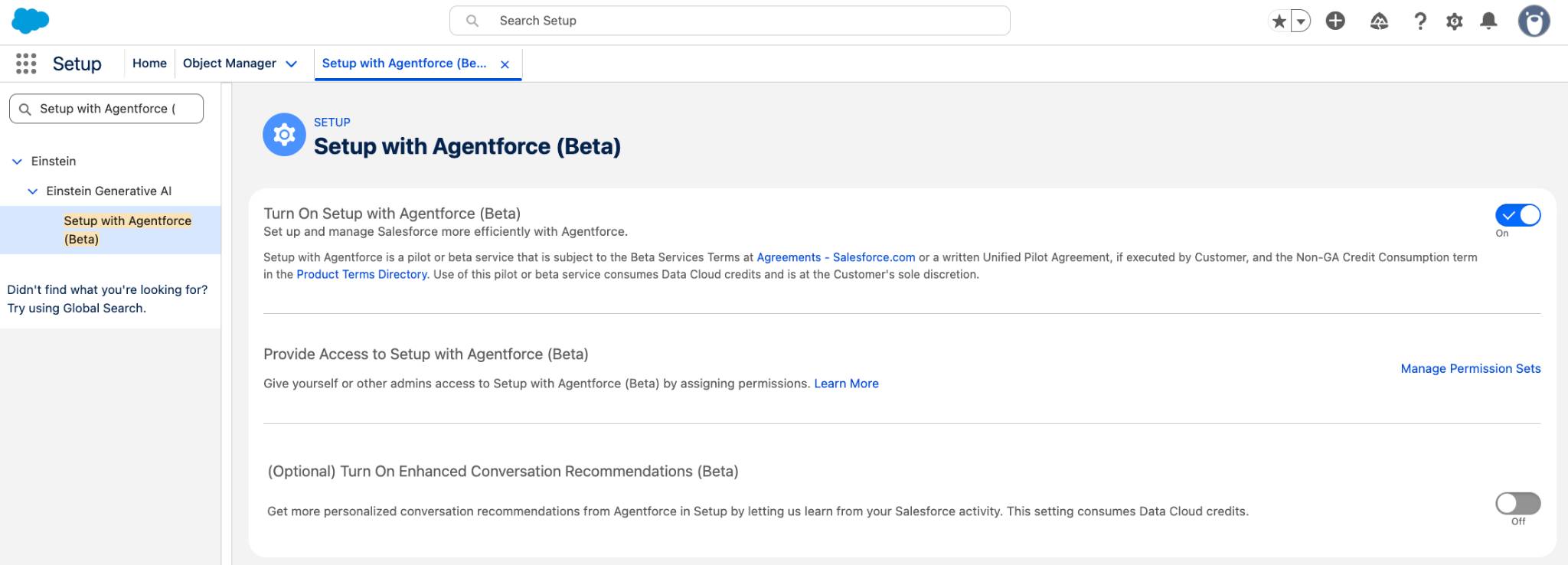[Setup (設定)] の [Setup with Agentforce (Beta) (Agentforce を使用した設定 (ベータ))] 設定ページ。