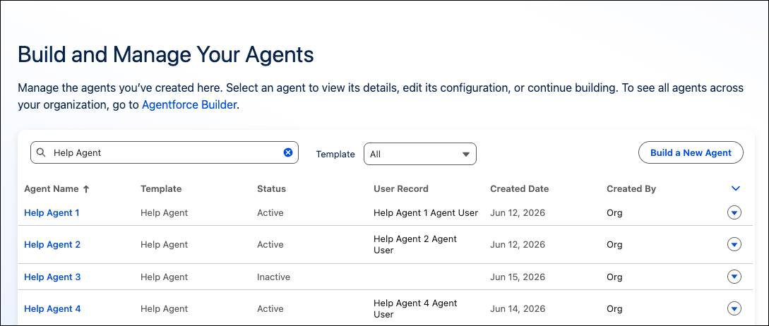 The Build and Manage Your Agents page in setup.