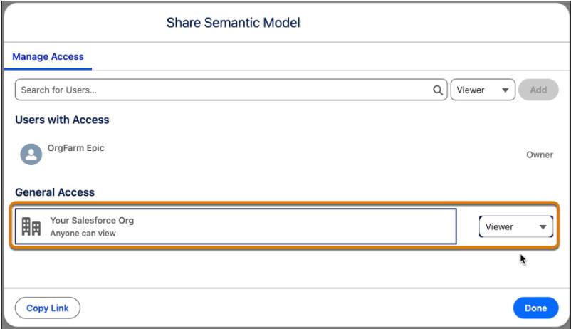 Share Semantic Model dialog showing Viewer access being granted to all users in preparation for pilot testing.