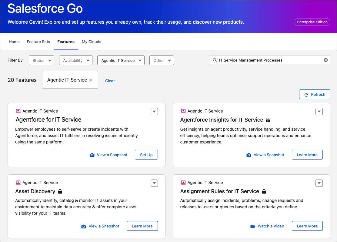 エージェンティック IT サービスが選択された Salesforce Go の設定ページ。