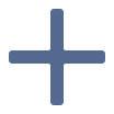 The plus icon.