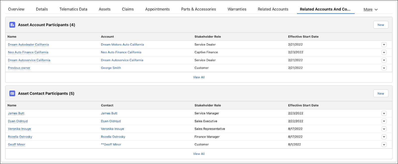 Asset Account Participant and Asset Contact Participant records for a vehicle.