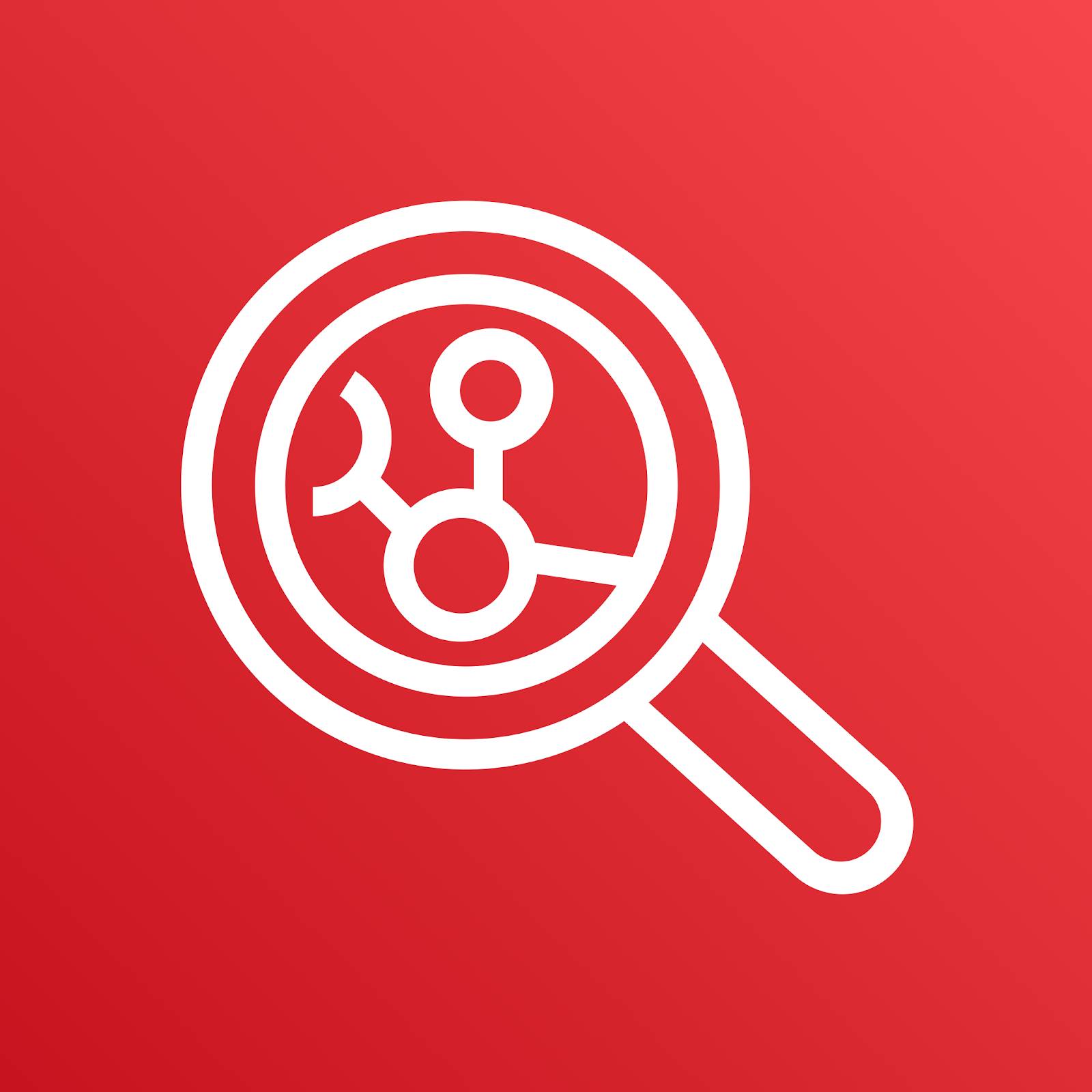 Amazon Inspector icon depicting a magnifying glass with a circle and line pattern within the magnifying glass
