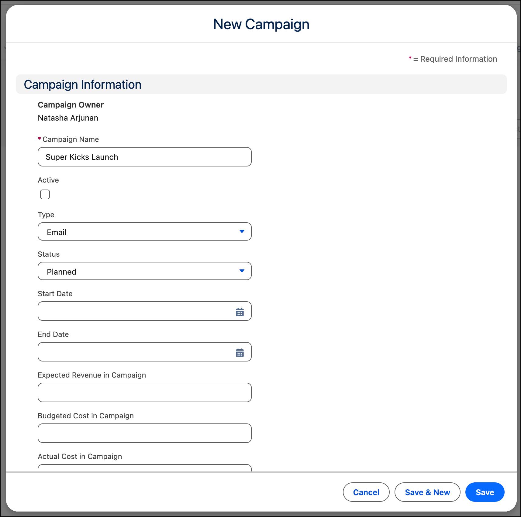 The New Campaign window with details of the campaign.