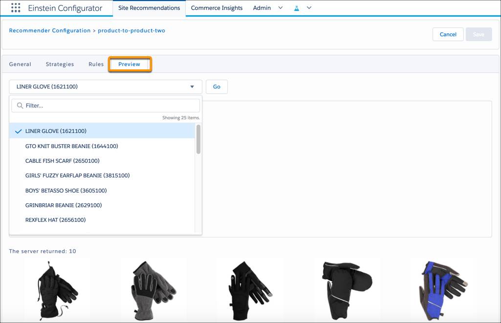 Configurator で手袋が表示されている Recommender をプレビューする。